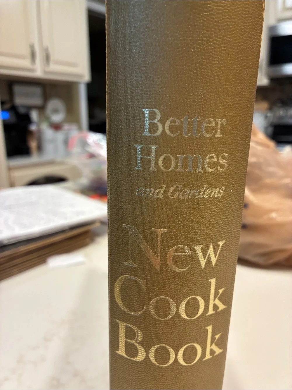Vintage Souvenir Edition of Better Homes and Gardens 1965 New Cook Book